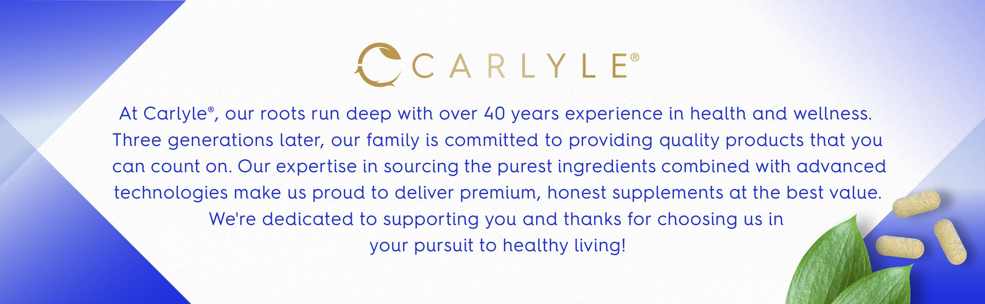 Carlyle Folic Acid 400 mcg | 400 Tablets