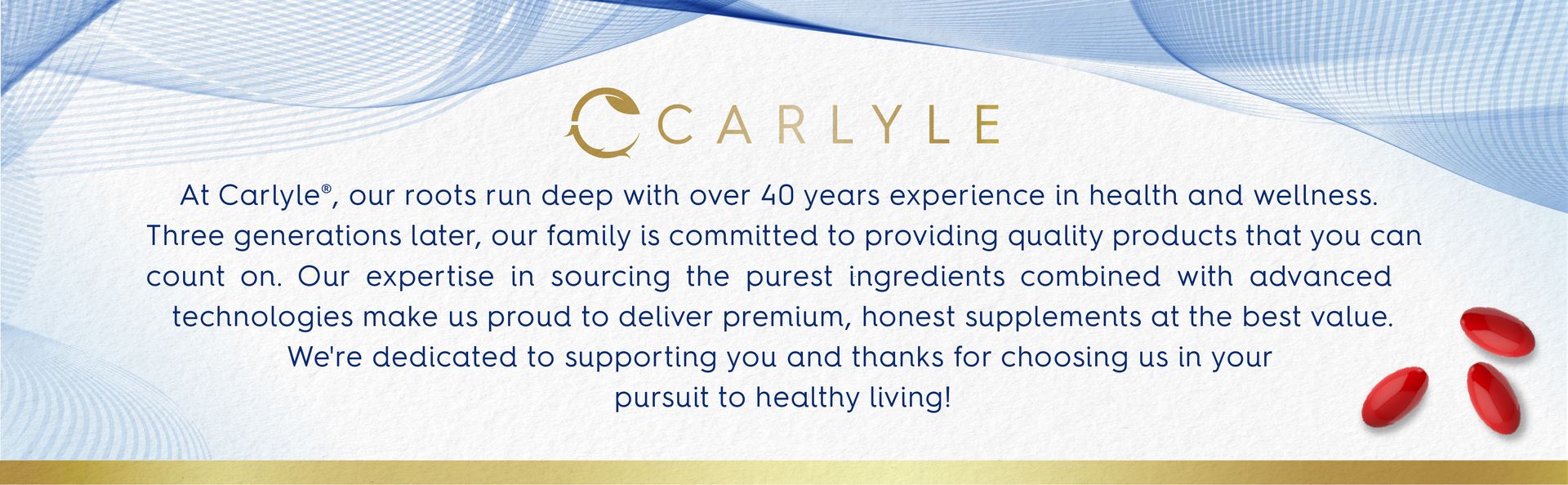 Carlyle Adult Eye Support | 300 Capsules | with Lutein and Zeaxanthin