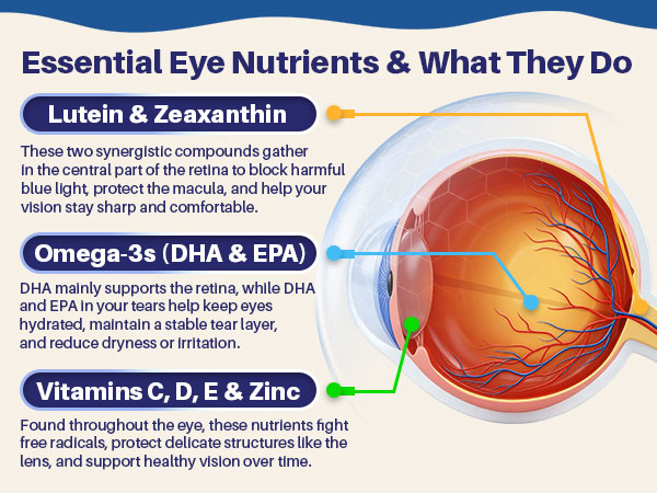 Lutein and Zeaxanthin Supplements, Eye Health Gummies, AREDS2-Based Formula