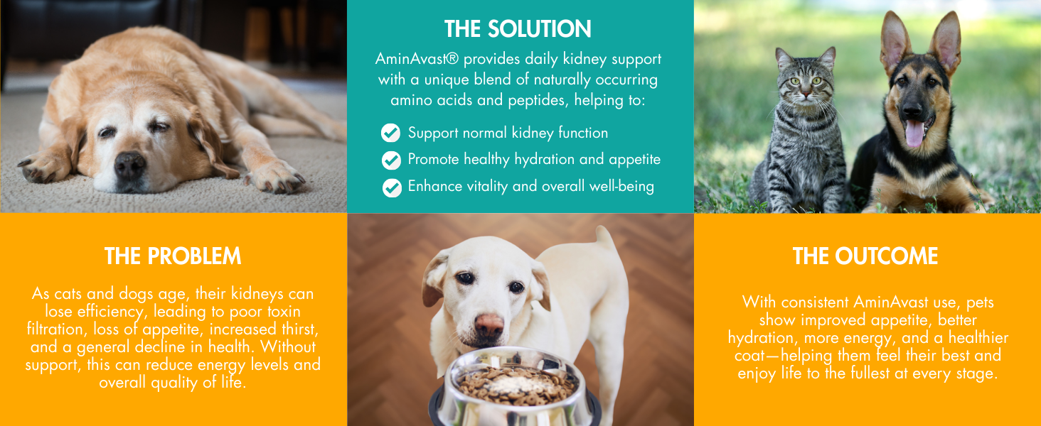 AminAvast Cat & Small Dog Kidney Support 300 mg Supplement, 60 Count 2-Pack