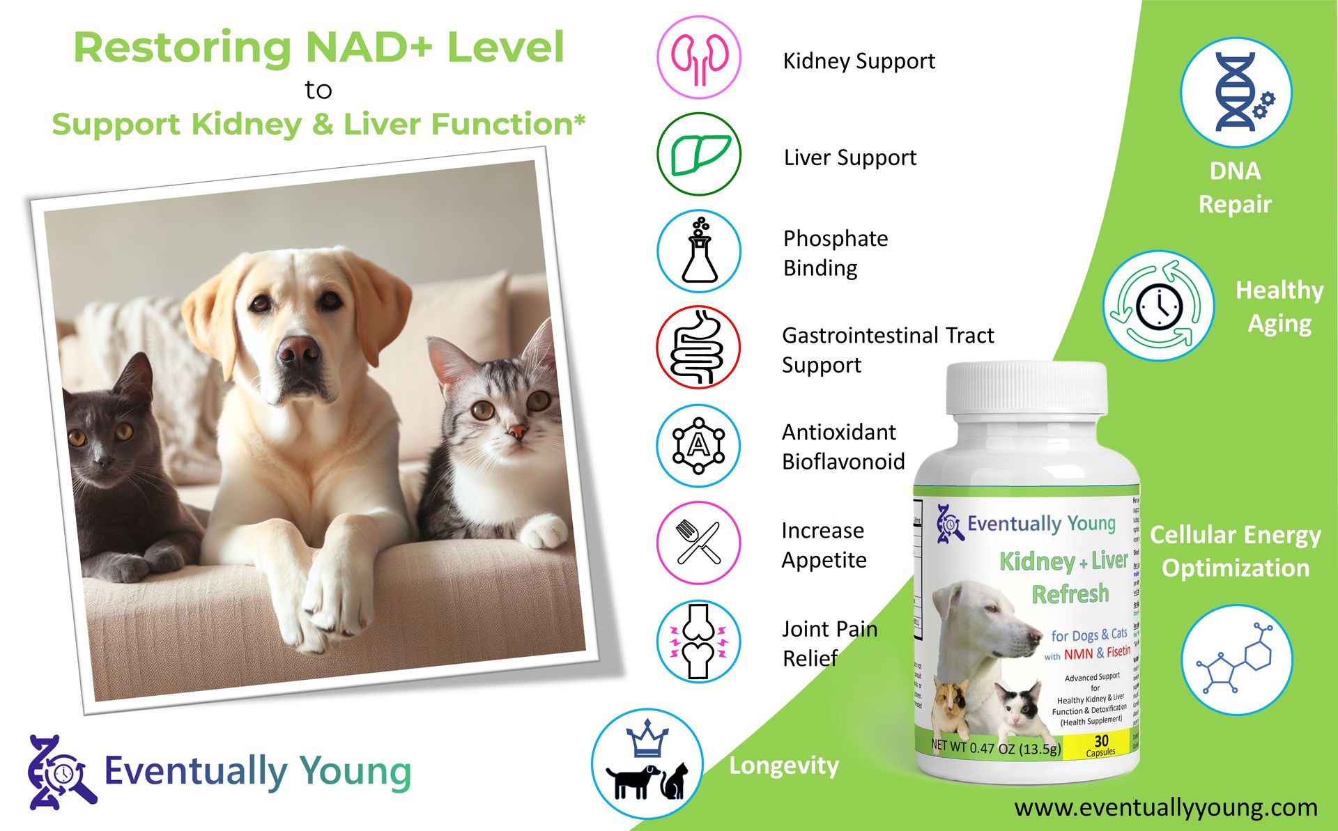 12-in-1 Kidney Support for Dog & Cat with NMN & Fisetin - Super Phosphate Binder Kidney and Liver Supplement for Feline, Canine Healthy Aging & Longevity NAD+ (60 Capsules)