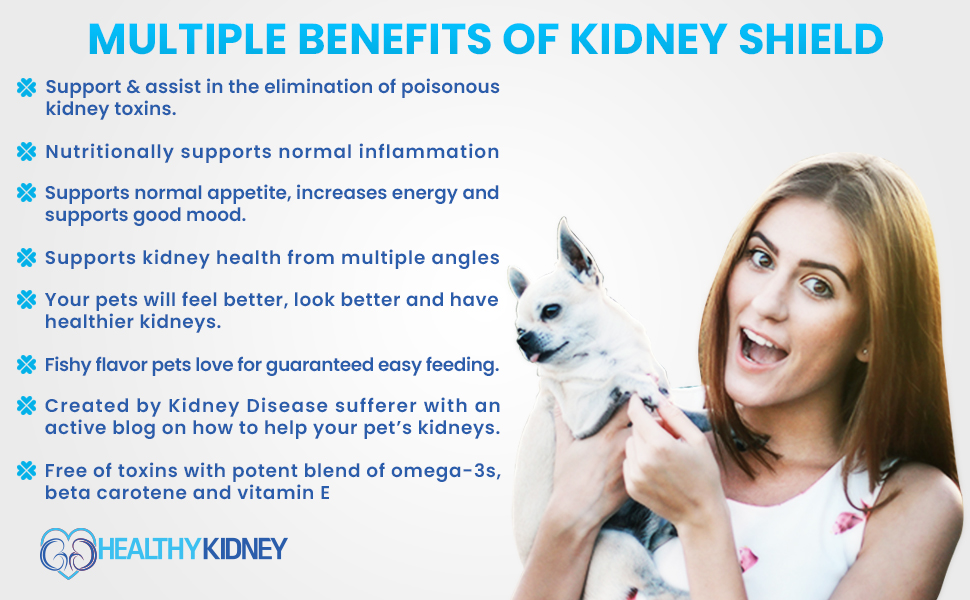 Dog and Cat Kidney Support, Canine Feline Renal Health Support Supplement For Normal Kidney Function, Creatinine, Detox, Urinary Track Cleansing, Best Kidney Stuff, Improve Pets Alive an Kidney Health