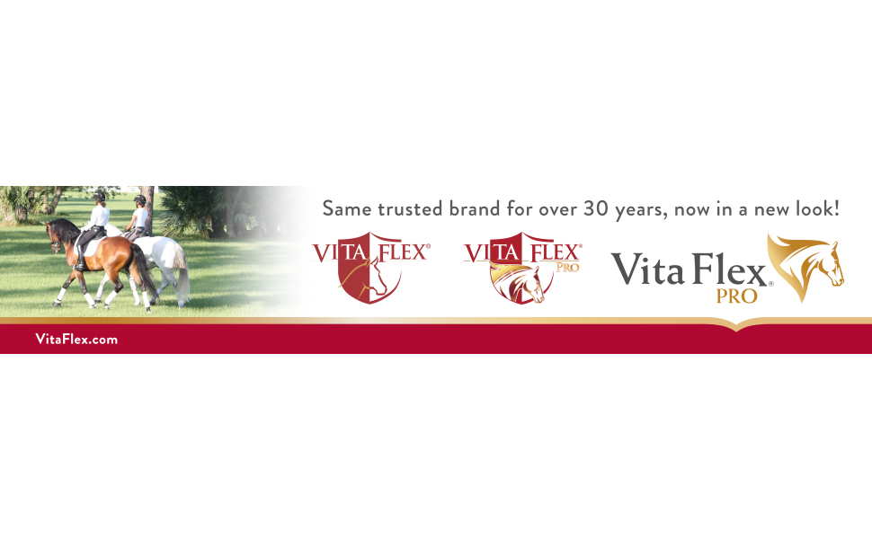 Vita Flex Pro DMG 3000 Horse DMG Concentrate, 4 lbs, 128-Day Supply