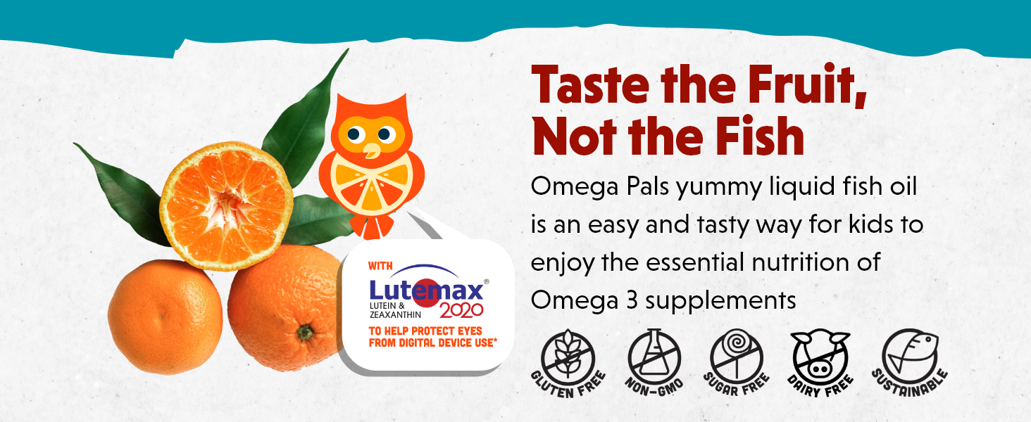 Barlean's Omega Pals Eye Health Liquid, Tangerine Flavored Omega 3 for Kids, Fish Oil Supplement with 500 mg of EPA & DHA Plus Lutein & Zeaxanthin Vitamins for Blue Light Support, 8 oz