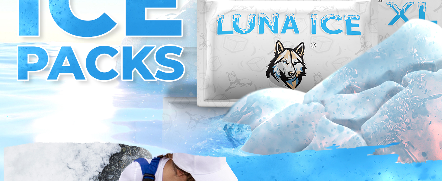 Dry Ice Packs for Shipping - Long Lasting ice Packs - 24+ Hour Freeze Power - BPA Free - 12 Pack Bulk 3 lb – Hielo Seco - Reusable Gel Bricks for Food