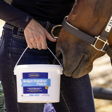 Farnam Hindgut Stabilizer Pellets, Daily Hindgut Support for Horses, 3.7 lb