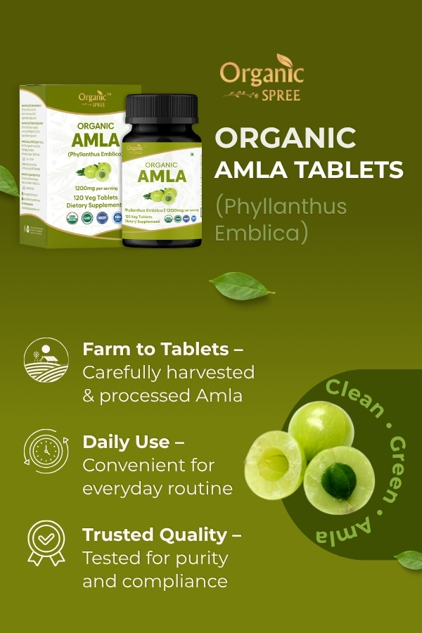 ORGANIC SPREE Amla 120 Tablets - Rich in Vitamin C, Supports Immunity, Hair & Skin Wellness* - Indian Gooseberry (Phyllanthus emblica) - 60 Days Supply - USDA Organic, GMP, HACCP Certified