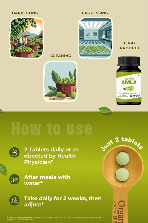ORGANIC SPREE Amla 120 Tablets - Rich in Vitamin C, Supports Immunity, Hair & Skin Wellness* - Indian Gooseberry (Phyllanthus emblica) - 60 Days Supply - USDA Organic, GMP, HACCP Certified