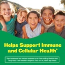 l-il-critters-kids-immune-c-gummy-supple-3.jpg