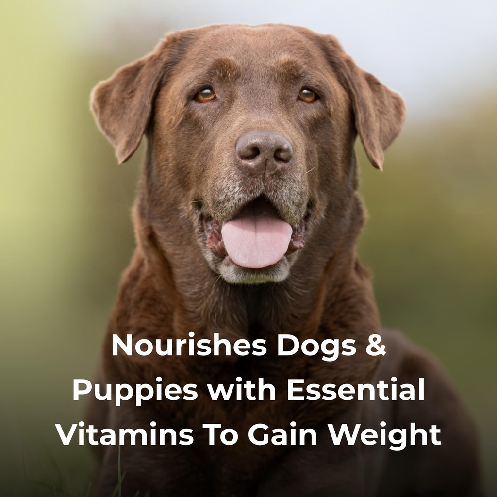 pet-ag-dyne-high-calorie-liquid-nutritio-6.jpg