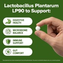 lactobacillus-plantarum-probiotic-240-ta-4.jpg