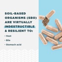 ancient-nutrition-probiotics-for-men-sbo-4.jpg