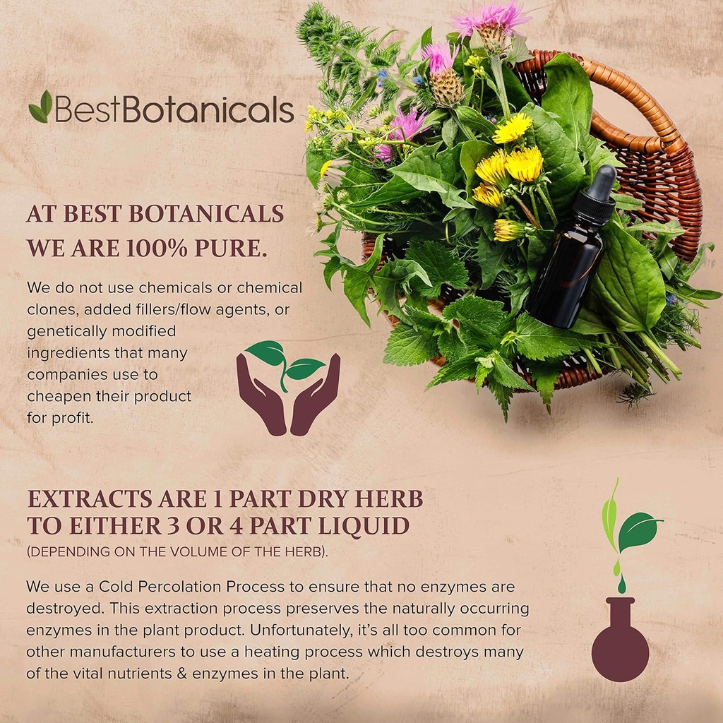 best-botanicals-psyllium-husk-powder-16--3.jpg