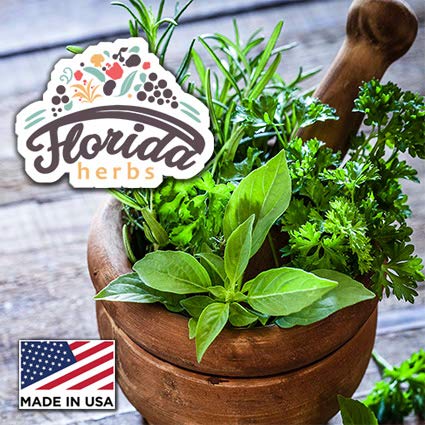valerian-tincture-valeriana-extract-vale-4.jpg