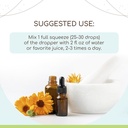 herbera-dandelion-root-b120-alcohol-free-2.jpg