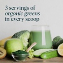 ora-organic-vegan-protein-powder-chocola-6.jpg