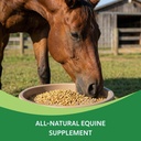 heiro-healthy-equine-insulin-rescue-nutr-3.jpg