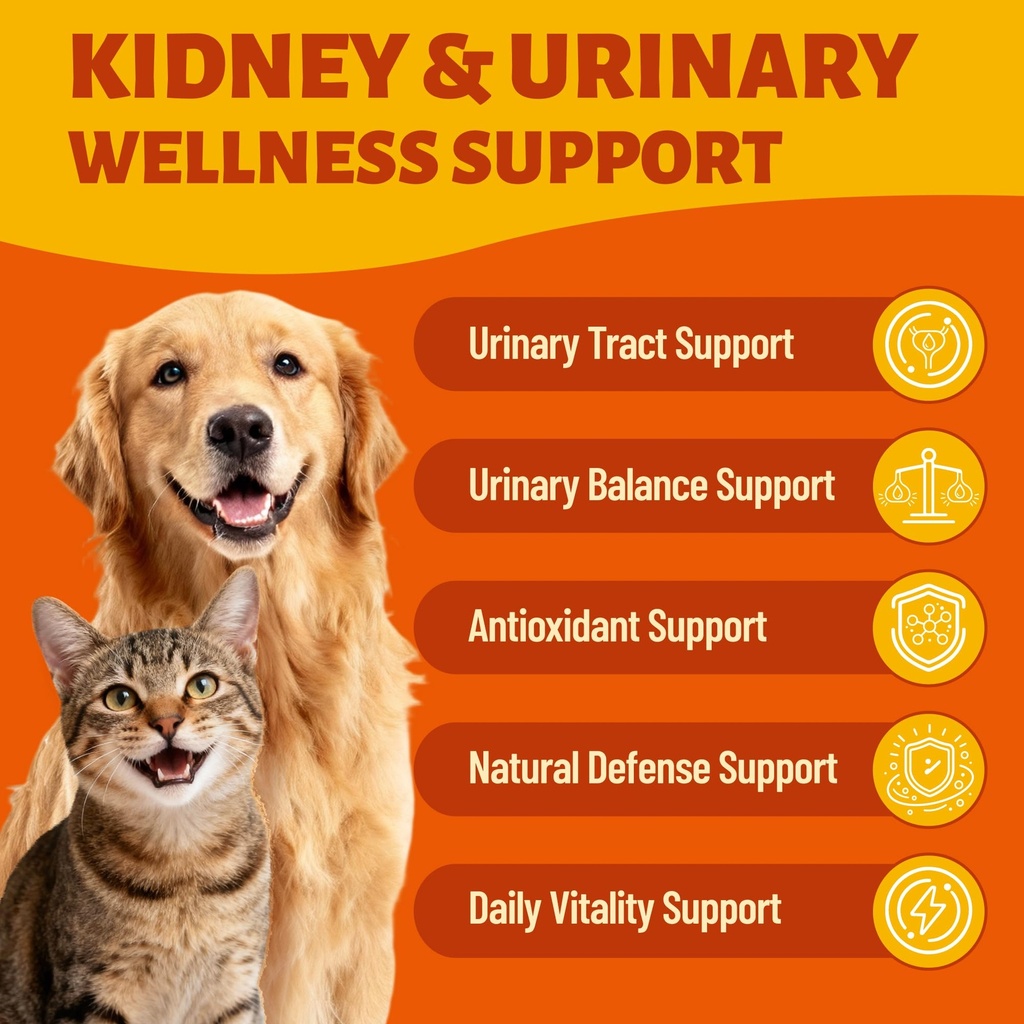liquid-kidney-support-supplement-for-cat-814P9Yn4kDL.jpg