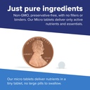 superior-source-folic-acid-1-200-mcg-100-71ZqGzn3TCL.jpg