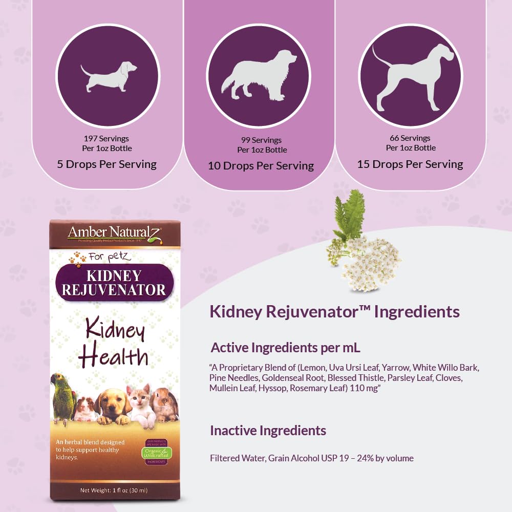 amber-naturalz-kidney-rejuvenator-for-pe-61ZQ+iQ5KEL.jpg