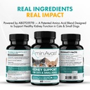 aminavast-cat-small-dog-kidney-support-3-71RbcwdbcZL.jpg