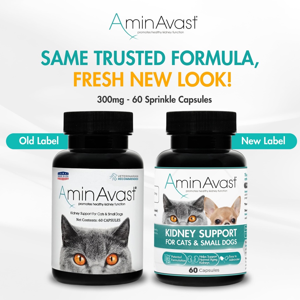 aminavast-cat-small-dog-kidney-support-3-81tS0BeV2TL.jpg