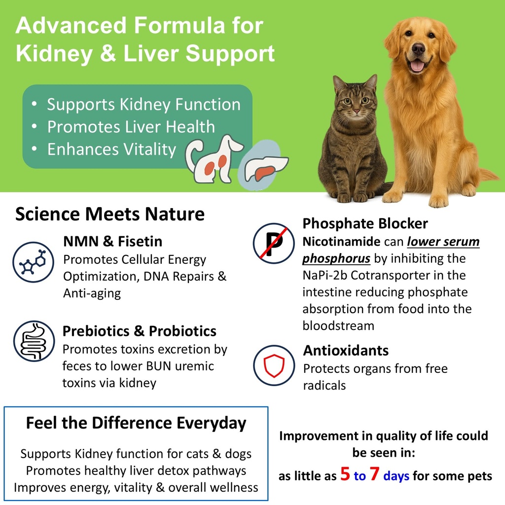 12-in-1-kidney-support-for-dog-cat-with--81atilGGIIL.jpg