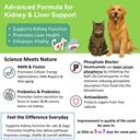 12-in-1-kidney-support-for-dog-cat-with--81atilGGIIL.jpg