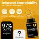 berberine-with-ceylon-cinnamon-1200mg-97-71gNGF1LbKL.jpg
