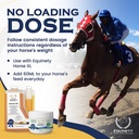 equinety-ultimate-oec-horse-oil-for-coat-91q4Vsb0lWL.jpg