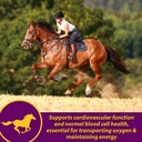 farnam-horse-health-red-cell-pellets-vit-91Y0IvwHpNL.jpg