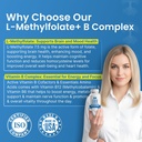 l-methylfolate-7-5mg-vitamin-b-complex-5-81GboCOGIYL.jpg