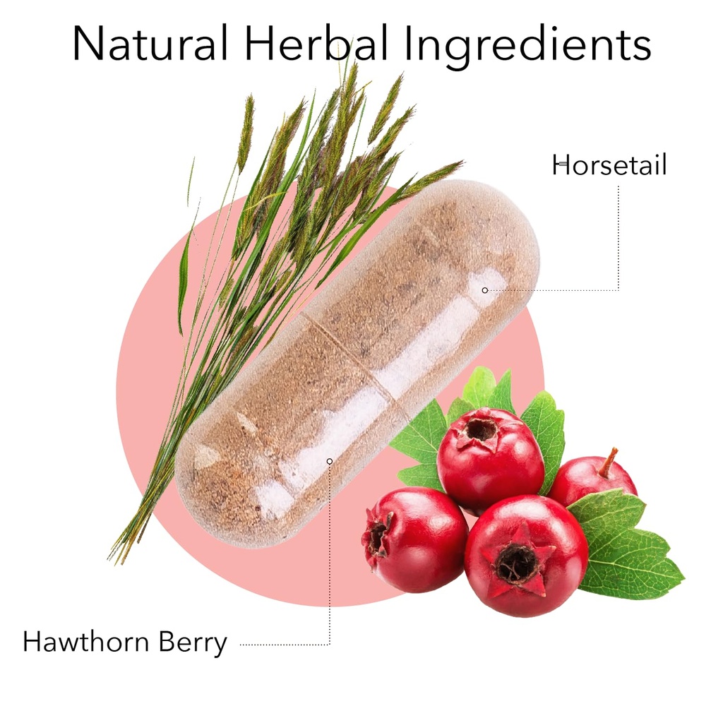 kroeger-herb-circu-flow-holistic-heart-s-71U053IiPRL.jpg