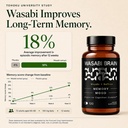 memory-mood-cognition-supplement-for-adu-81gPKvyxOrL.jpg