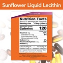 now-foods-sunflower-liquid-lecithin-16-f-61bUkR0q9gL.jpg