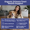 organic-cranberry-supplement-for-dogs-an-81SDdjYt3rL.jpg