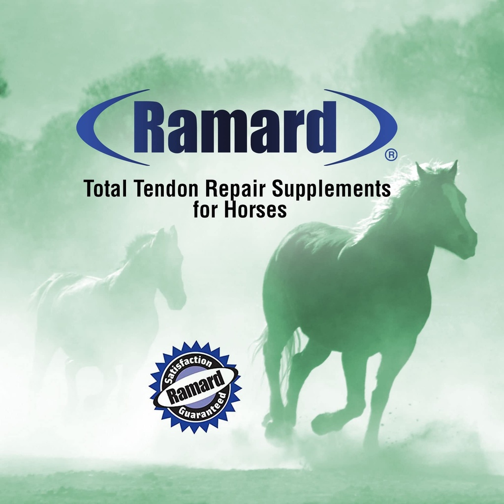 ramard-total-tendon-repair-advanced-powd-71jwW1CbMRL.jpg