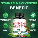 satoomi-1000mg-gymnema-sylvestre-supplem-81hac6JcE6L.jpg