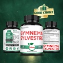 satoomi-1000mg-gymnema-sylvestre-supplem-81coRH1prwL.jpg
