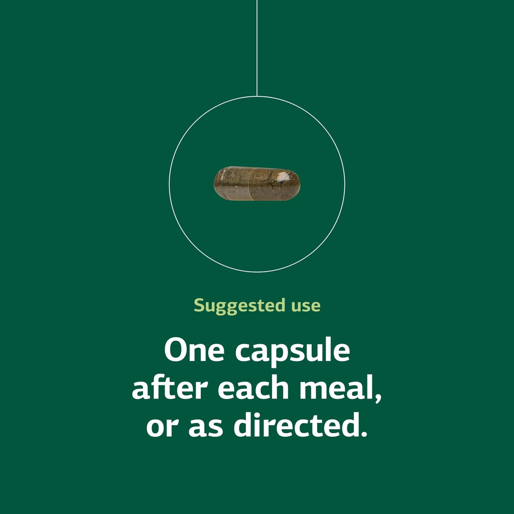 standard-process-okra-pepsin-e3-gi-prote-61XKSj01qWL.jpg