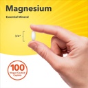 sundance-magnesium-supplement-500mg-oxid-71jIMV4zP9L.jpg