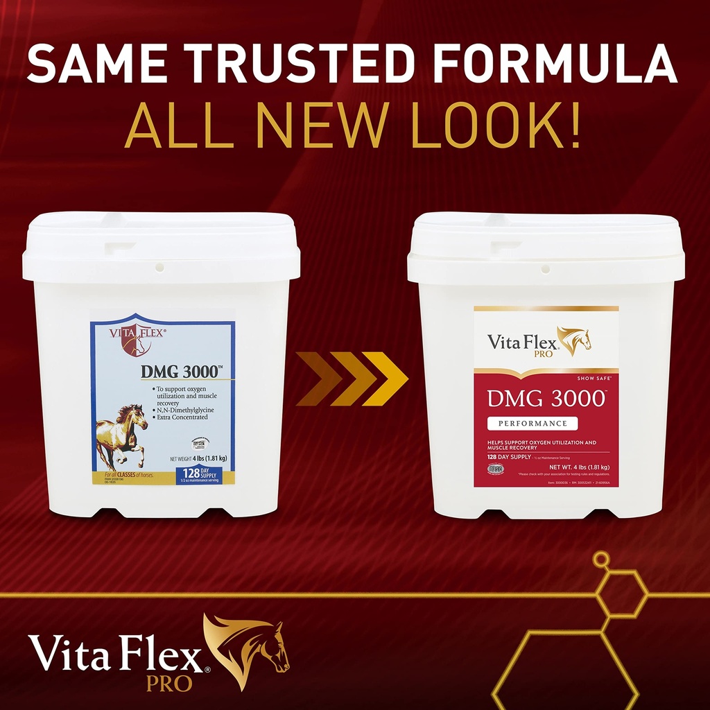 vita-flex-pro-dmg-3000-horse-dmg-concent-81kq6z0CuaL.jpg
