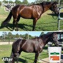 stance-natural-turmeric-powder-for-horse-A1jpWYA8ejL.jpg
