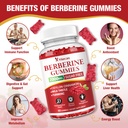 2-pack-berberine-gummies-with-ceylon-cin-81BlDLkN0oL.jpg