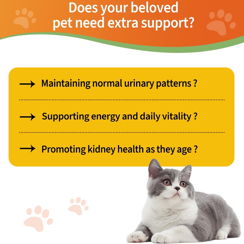 6-in-1-kidney-support-for-cats-dogs-prom-81OImJz3mzL.jpg