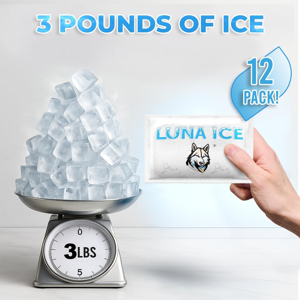 dry-ice-packs-for-shipping-long-lasting--61cVnNTbtHL.jpg