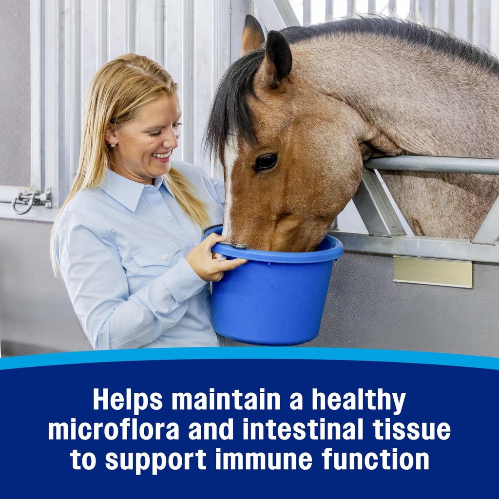 farnam-hindgut-stabilizer-pellets-daily--91mB9NbM8yL.jpg