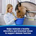 farnam-hindgut-stabilizer-pellets-daily--91mB9NbM8yL.jpg