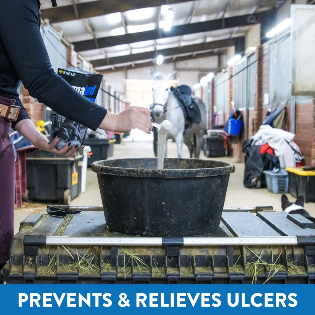 gastric-support-supplement-for-horses-re-71fu45LnZOL.jpg