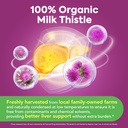 organic-milk-thistle-concentrated-seed-e-716a1u4lLaL.jpg